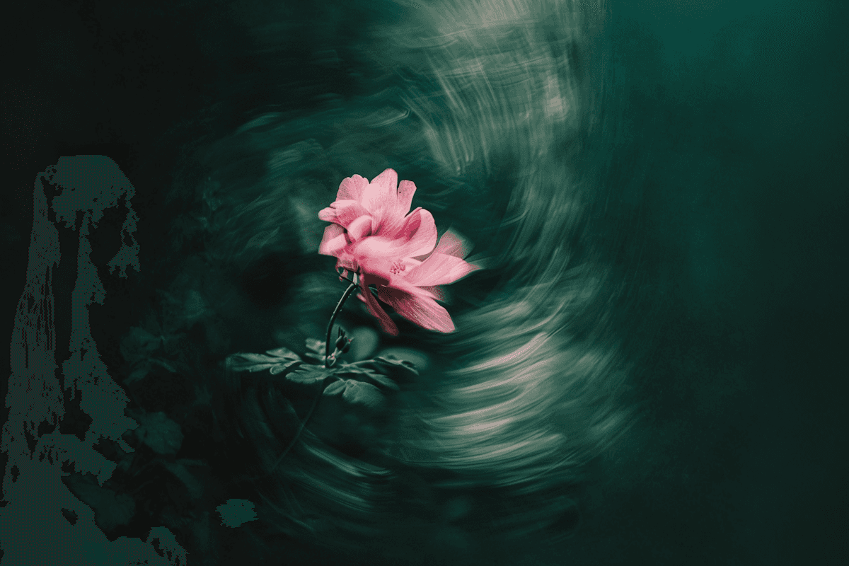 Motion design frames